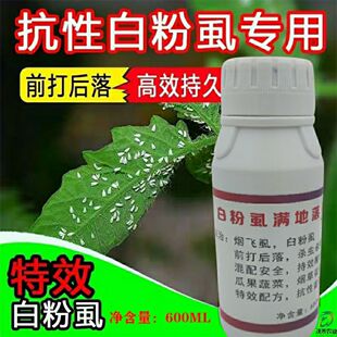 白粉虱满地落主要治疗白粉虱烟飞虱前打后落抗性地区专用保正品