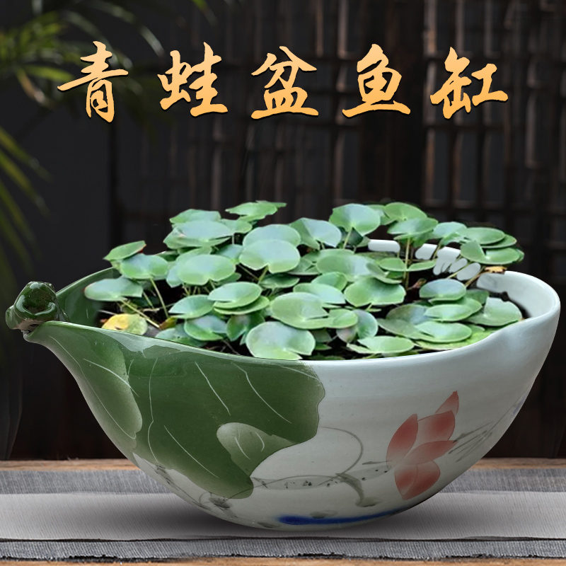 睡莲盆风水客厅陶瓷鱼缸
