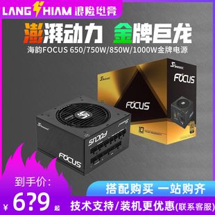 850W 机金牌全模组电源 1000W GX650 750W FOCUS ATX3.0台式 海韵