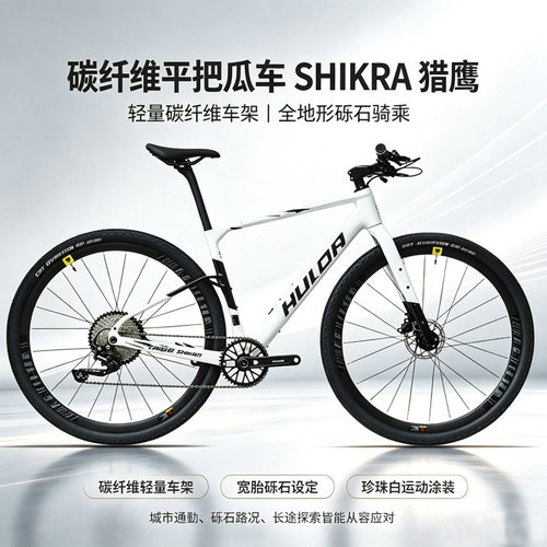 哈路达SHIKRA猎鹰GRAVEL瓜车碳纤维平把越野12速砾石公路自行车