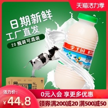 李子园甜牛奶草莓原味早餐奶含乳饮料儿童225ml小瓶饮料整箱批发