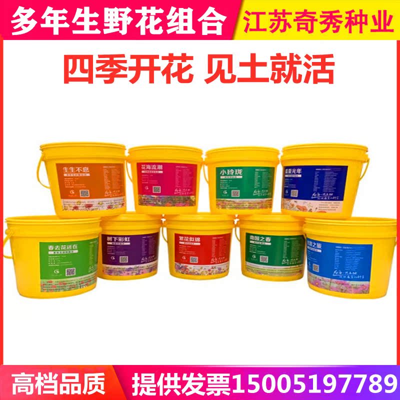 桶装野花组合花种子易活花种籽子