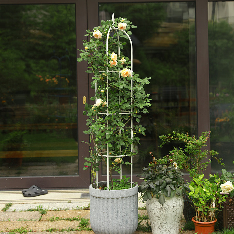花架爬藤架户外架子月季撑杆藤架花盆铁艺阳台三角梅盆植物花支架
