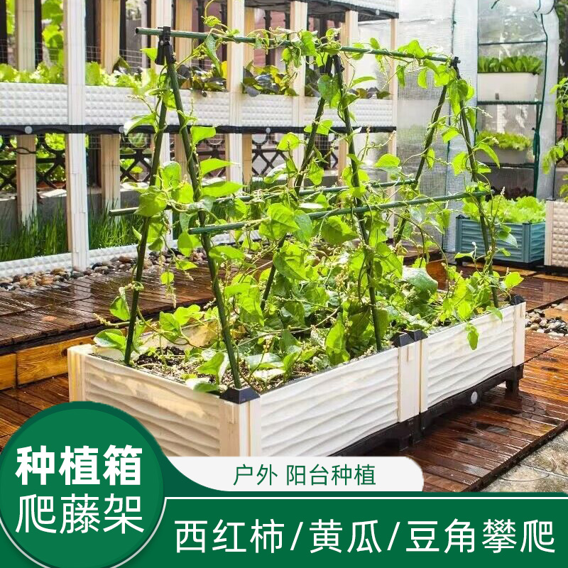 苗之助种植箱爬藤架黄瓜豆角番茄