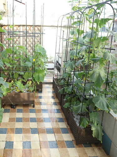 阳台配套通用型种植箱