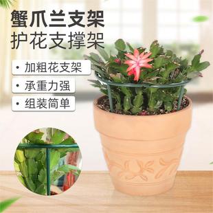 花架爬藤架子蟹爪兰铁线莲小支架攀爬架绿萝固定花支架植物支撑杆