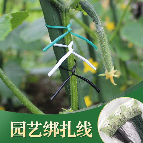 植物固定园艺扎线苗之助