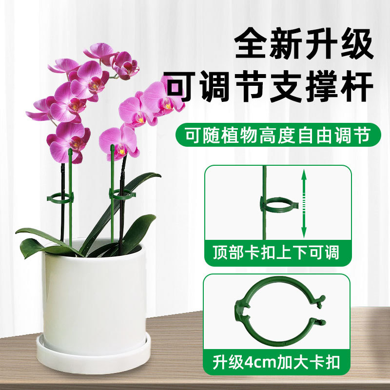 苗之助植物固定防倒伏花架子