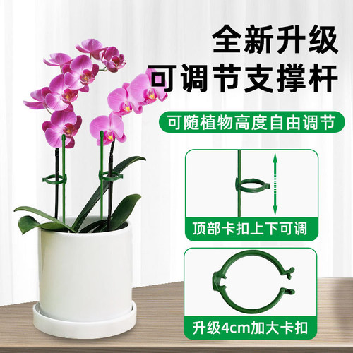 苗之助植物固定防倒伏花架子