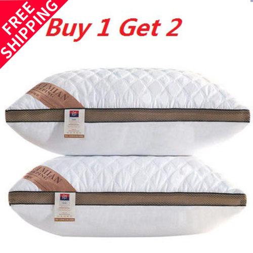 一对酒店成人家用双人清仓特价枕头套枕芯 2pcs set bed pillow