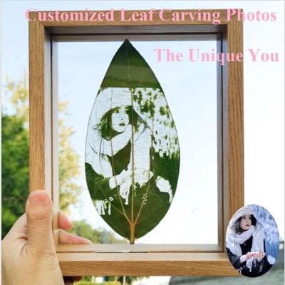 Photo frame birthday gift 叶雕树叶植物标本照片框装饰透明像框
