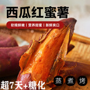 红薯番薯烤地瓜云南农家现挖沙地红心蜜薯粉糯糖心西瓜红番薯山芋