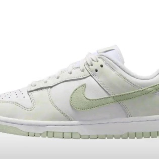 Nike Dunk 板鞋 防滑耐磨复古运动轻便 IB4647-131 f广东zq仓