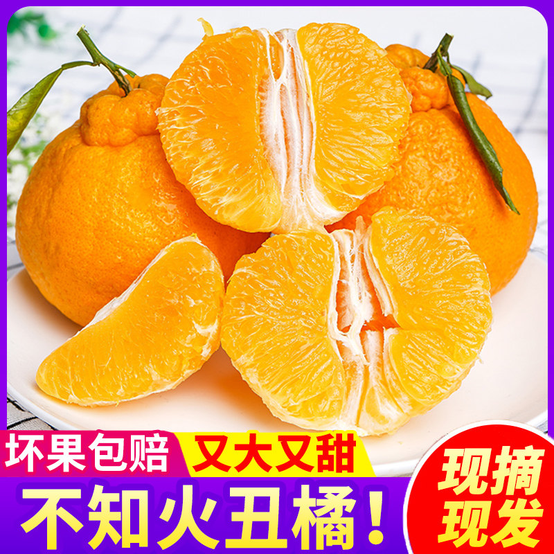不知火丑橘5斤整箱丑八怪当季新鲜孕妇水果耙耙丑柑手剥桔子