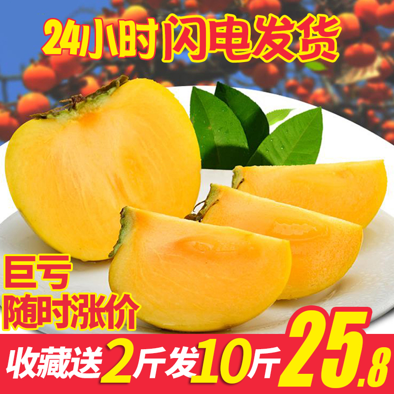 8°üÓÊ