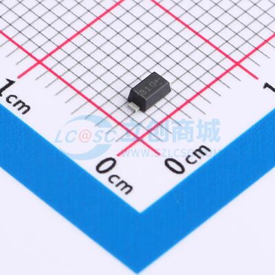 拍一发十 S-LMBR3100FT1G SOD-123FL 肖特基二极管 LRC原装正品