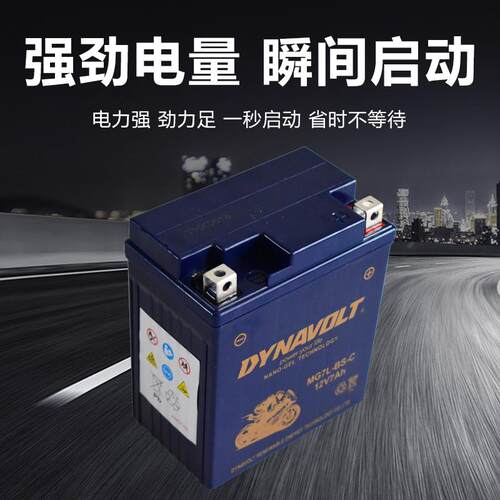 WH125-11摩托车电瓶蓄电池
