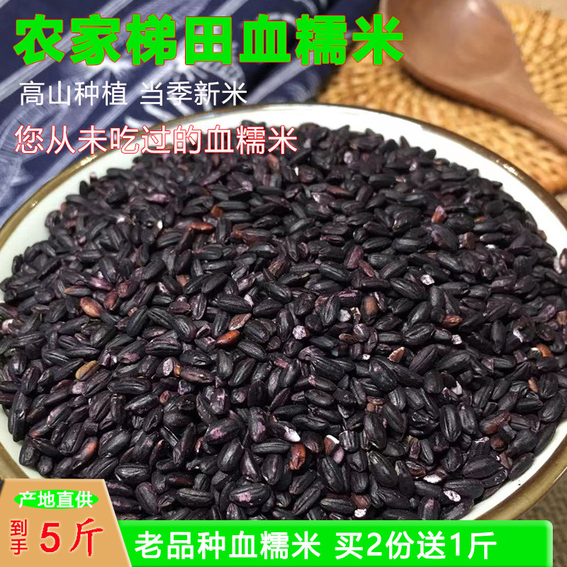 血糯米新米2斤 贵州黑糯米紫米月子米农家自种老品种血糯米包粽子,粮油调味/速食/干货/烘焙,糯米,淘宝优惠券,粉丝福利购,淘宝优惠卷