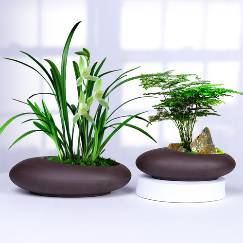 兰花盆新款紫砂椭圆新扁蛋盆