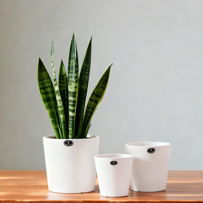 陶瓷花盆种植盆栽中式个性简约轻奢家用阳台桌面装饰盆景盆摆件