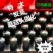 无影毒珠超大颗粒蘑菇头固化乒乓球长胶单胶皮防弧下沉怪异零摩擦