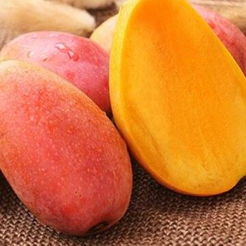 攀枝花特产 四川攀枝花米易特产 红贵妃芒果 5斤装 新鲜水果