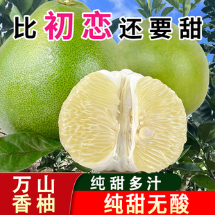 贵州铜仁万山香柚 香甜爆汁小柚子孕妇水果白心柚沙田柚应季时令