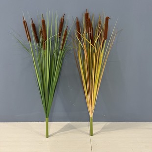 仿真蒲棒水草绿植把束蒲公英香蒲棒水蜡烛狗尾草草森系柄草芦苇棒