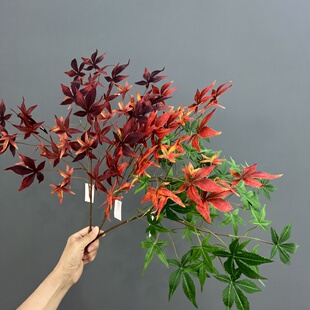 秋季工程造景叶仿真红枫叶绿枫叶鸡爪槭园林装饰造景树叶
