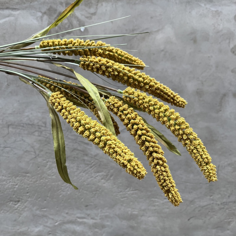 单支仿真谷穗猫尾谷小米干花造景插花软装花艺摆放杂粮农作物道具