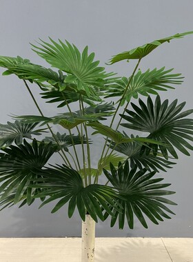 仿真扇葵蒲葵把束绿植