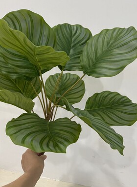 仿真青苹叶把束苹果叶单颗小绿植室内造景装饰植物盆栽竹芋北欧风