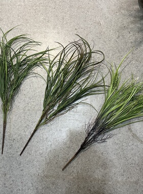 仿真水稻苗麦苗假秧苗春草塑料小草青草绿植布景装饰演出道具