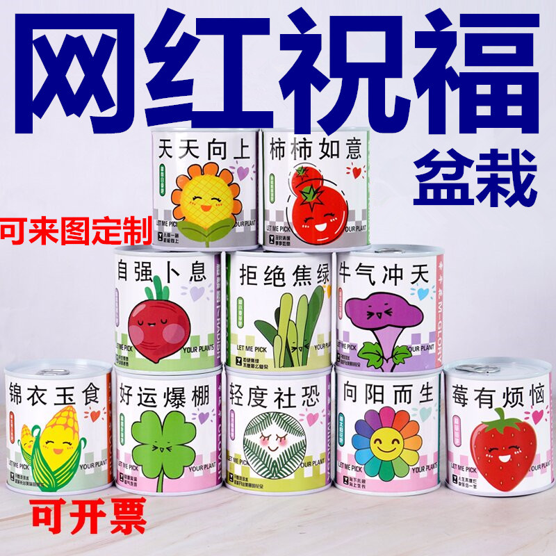 儿童种植小盆栽生日创意礼品植物盲盒开学礼物幼儿园全班批发奖品