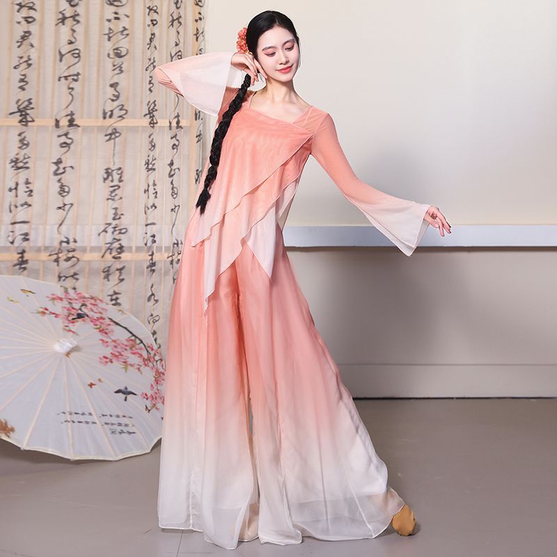 古典舞身韵弹力网纱渐变纱衣飘逸练功服中国舞艺考基础训练演出服