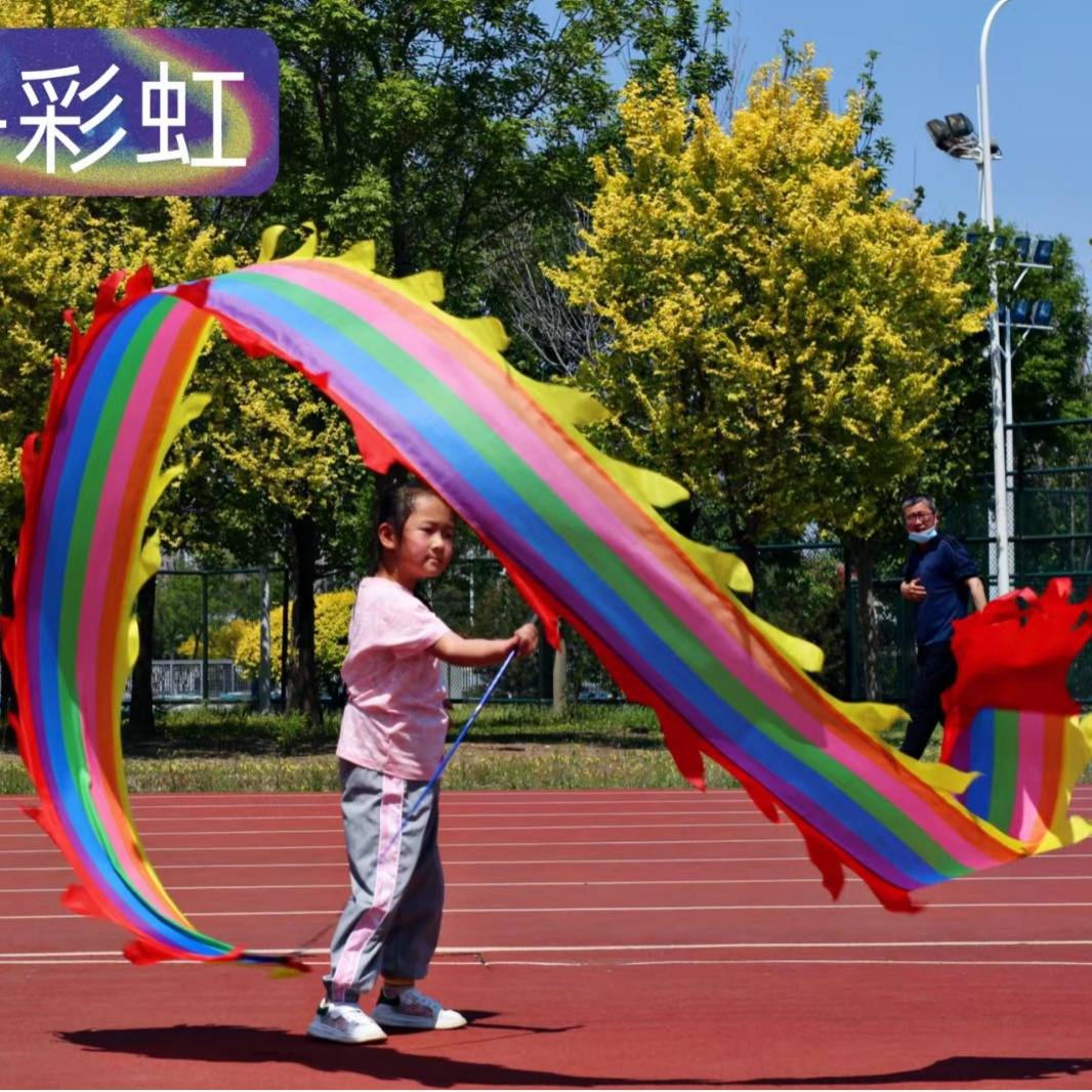 舞龙彩带健身甩甩龙新款道具儿童