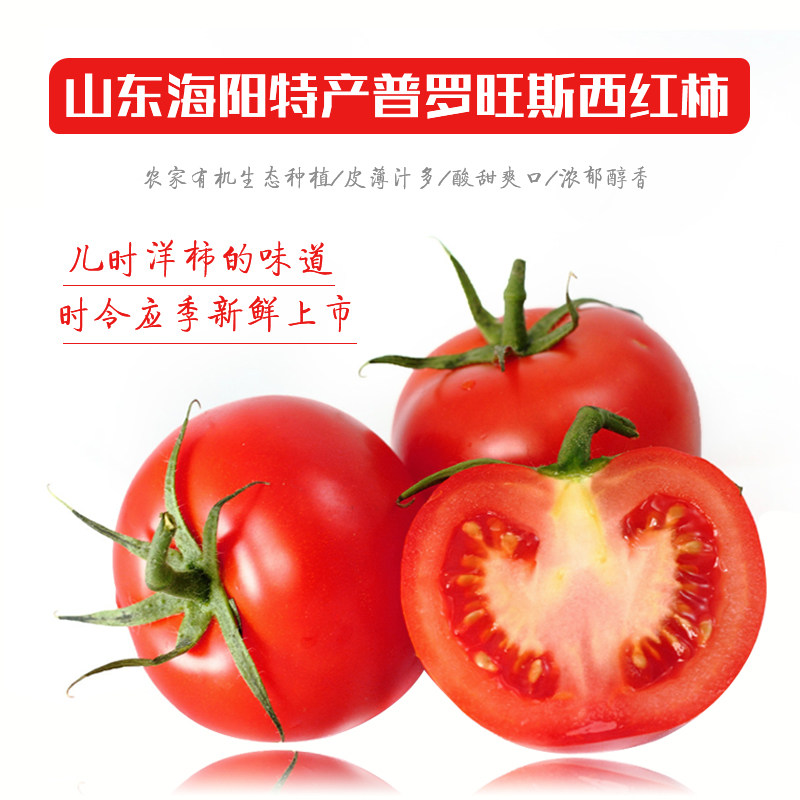 山东海阳普罗旺斯西红柿有籽自然熟生吃沙瓤水果番茄新鲜5斤包邮