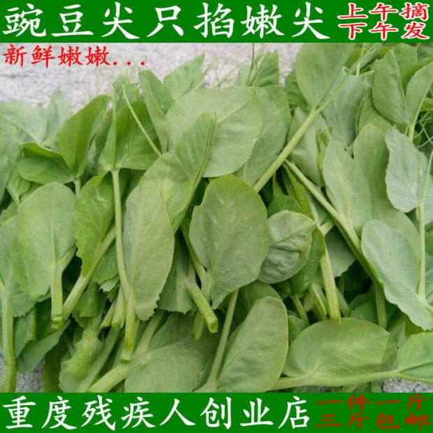 都江堰农家菜园新鲜蔬菜豌豆尖豌豆苗煮汤火锅 有坏包赔 一件包邮,水产肉类/新鲜蔬果/熟食,其它,淘宝优惠券,粉丝福利购,淘宝优惠卷