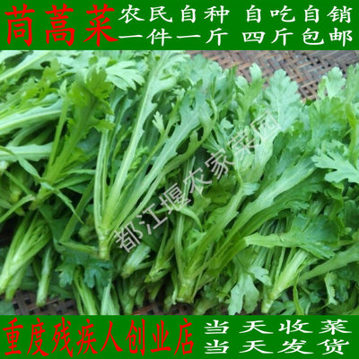 蔬菜新鲜茼蒿 同蒿蓬蒿蒿菜菊花菜塘蒿蒿子杆蒿子桐花菜 鹅菜义菜