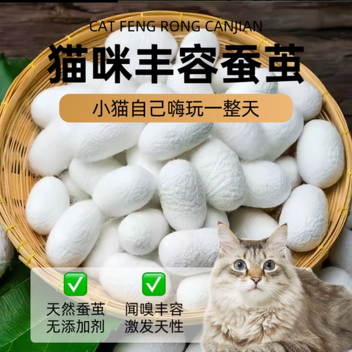 猫咪丰容天然桑蚕茧烘干完整带蚕蛹金色黄金茧猫咪闻嗅丰容