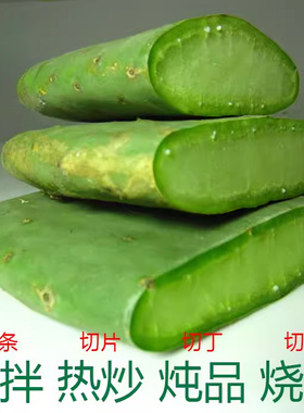 新鲜可食用仙人掌绿色蔬菜煮水植物多肉盆栽植物室内外盆栽花卉