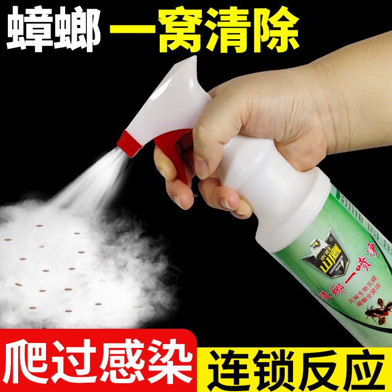灭蟑螂药一窝端非无毒厨房绝杀除
