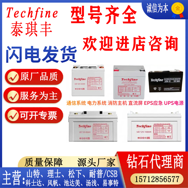 Techfine泰琪丰蓄电池全国包邮