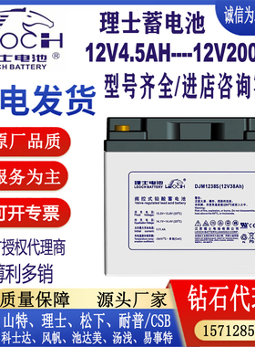 LEOCH理士蓄电池DJM1238S铅酸免维护UPS电源直流屏EPS应急12V38AH