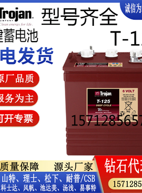 Trojian邱健蓄电池T-125观光车升降机高尔夫球车洗地机用6V240AH