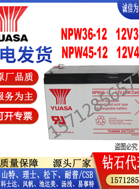 YUASA汤浅蓄电池NPW36/NPW45-12铅酸免维护12V45W36W医疗仪器电源