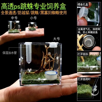 跳蛛饲养盒蜘蛛透明饲养盒塑料箱亚克力小方盒小型蜈蚣鸣虫生态盒
