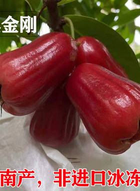 顺丰成熟大甜雾海南黑金刚莲雾