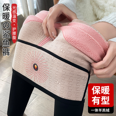 羊羔绒鲨鱼裤女外穿秋冬加绒加厚