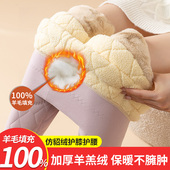 女内穿秋冬季 加绒加厚护膝打底秋裤 羊羔绒大码 羊毛填充保暖裤 棉裤